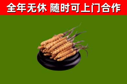 青白江区烟酒回收冬虫夏草.jpg